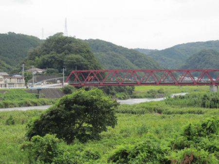 狩野川(狩野川漁業協同組合) 釣果