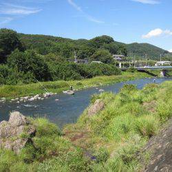 狩野川(狩野川漁業協同組合) 釣果
