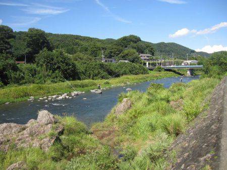狩野川(狩野川漁業協同組合) 釣果
