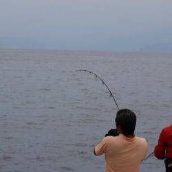 へいみつ丸 釣果