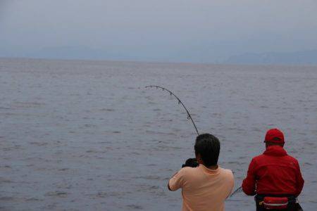 へいみつ丸 釣果