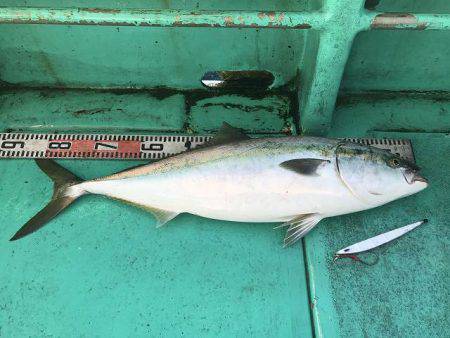 広進丸 釣果