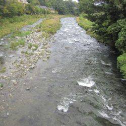 狩野川(狩野川漁業協同組合) 釣果