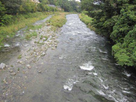 狩野川(狩野川漁業協同組合) 釣果