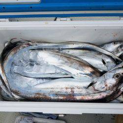 遊漁船　ニライカナイ 釣果