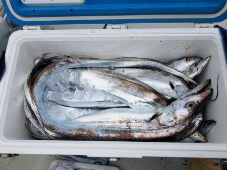 遊漁船　ニライカナイ 釣果