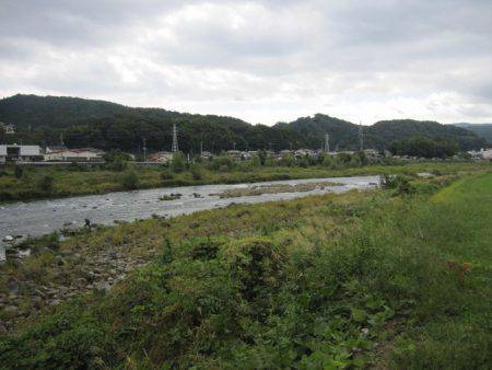 狩野川(狩野川漁業協同組合) 釣果