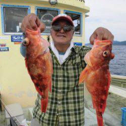 大進丸(新潟) 釣果