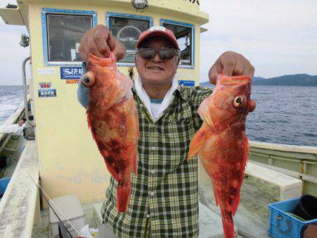 大進丸(新潟) 釣果
