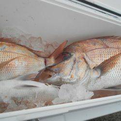 こうゆう丸 釣果