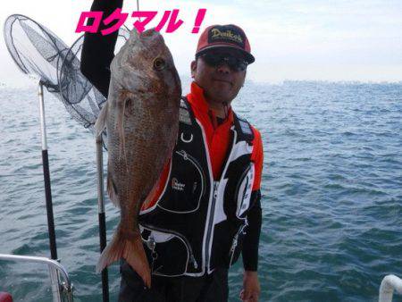 遊漁船 幸友丸 釣果