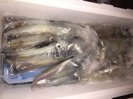 幸風（さちかぜ） 釣果