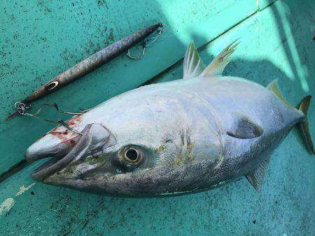 広進丸 釣果