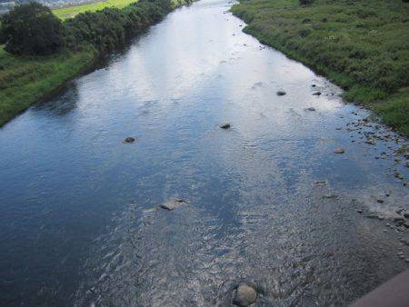 狩野川(狩野川漁業協同組合) 釣果