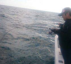 IDATEN(イダテン) 釣果