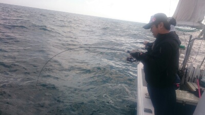 IDATEN(イダテン) 釣果