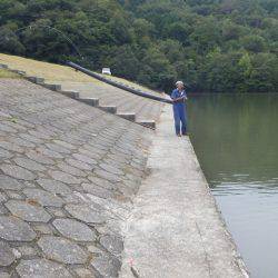 フィッシングレイクたかみや 釣果