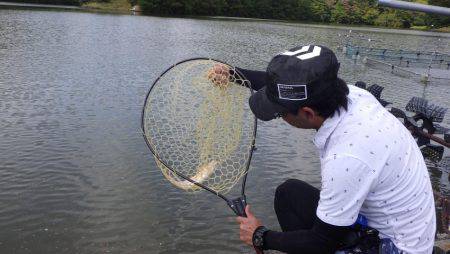 フィッシングレイクたかみや 釣果