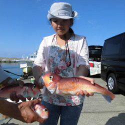 大進丸(新潟) 釣果