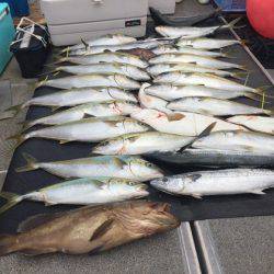 幸風（さちかぜ） 釣果