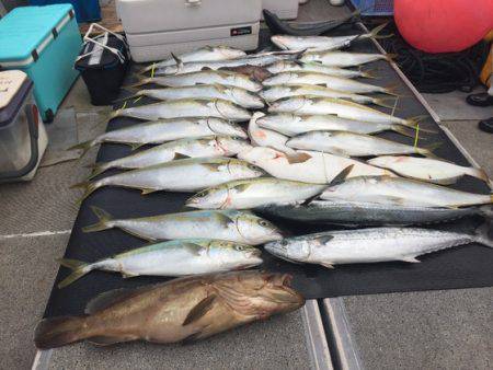 幸風（さちかぜ） 釣果