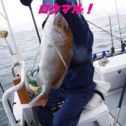 遊漁船 幸友丸 釣果