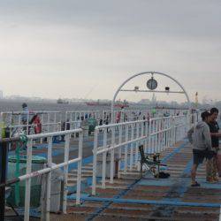 オリジナルメーカー海づり公園(市原市海づり施設) 釣果