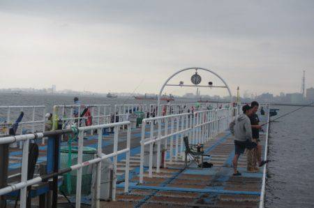 オリジナルメーカー海づり公園(市原市海づり施設) 釣果