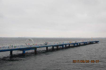 オリジナルメーカー海づり公園(市原市海づり施設) 釣果