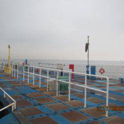 オリジナルメーカー海づり公園(市原市海づり施設) 釣果