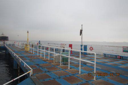 オリジナルメーカー海づり公園(市原市海づり施設) 釣果