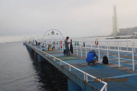 オリジナルメーカー海づり公園(市原市海づり施設) 釣果
