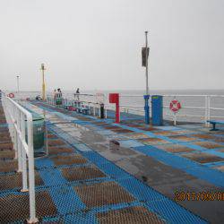 オリジナルメーカー海づり公園(市原市海づり施設) 釣果