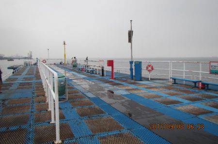 オリジナルメーカー海づり公園(市原市海づり施設) 釣果