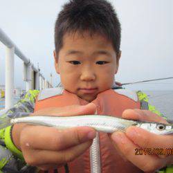 オリジナルメーカー海づり公園(市原市海づり施設) 釣果