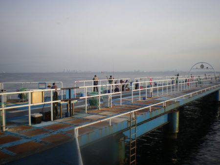 オリジナルメーカー海づり公園(市原市海づり施設) 釣果