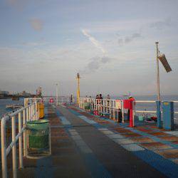 オリジナルメーカー海づり公園(市原市海づり施設) 釣果