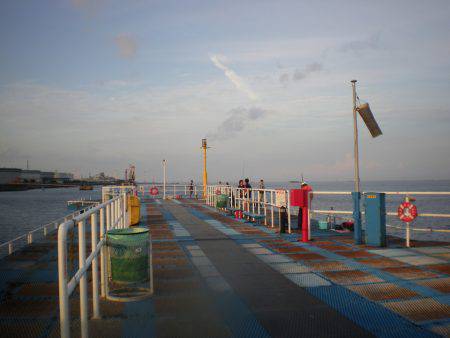 オリジナルメーカー海づり公園(市原市海づり施設) 釣果