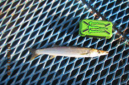 オリジナルメーカー海づり公園(市原市海づり…