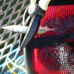 オリジナルメーカー海づり公園(市原市海づり施設) 釣果