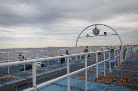 オリジナルメーカー海づり公園(市原市海づり施設) 釣果