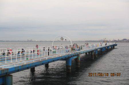 オリジナルメーカー海づり公園(市原市海づり施設) 釣果