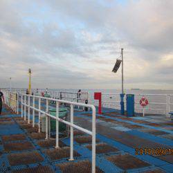 オリジナルメーカー海づり公園(市原市海づり施設) 釣果