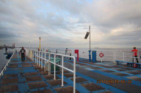 オリジナルメーカー海づり公園(市原市海づり施設) 釣果