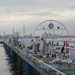 オリジナルメーカー海づり公園(市原市海づり施設) 釣果