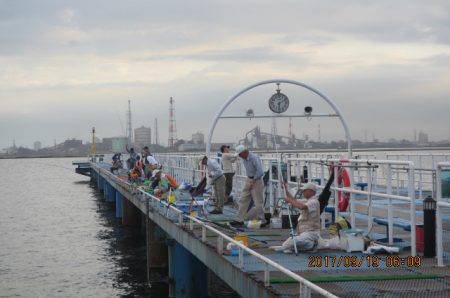 オリジナルメーカー海づり公園(市原市海づり施設) 釣果