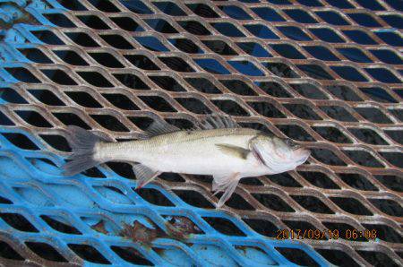 オリジナルメーカー海づり公園(市原市海づり…