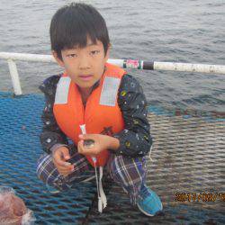 オリジナルメーカー海づり公園(市原市海づり施設) 釣果