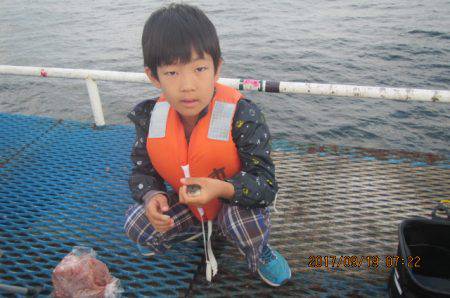 オリジナルメーカー海づり公園(市原市海づり施設) 釣果