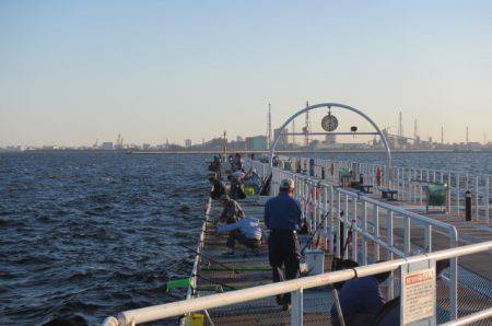 オリジナルメーカー海づり公園(市原市海づり施設) 釣果